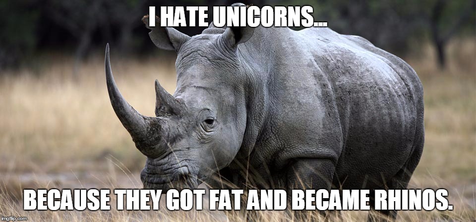rhino | I HATE UNICORNS... BECAUSE THEY GOT FAT AND BECAME RHINOS. | image tagged in rhino | made w/ Imgflip meme maker