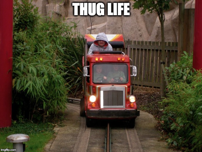 THUG LIFE | image tagged in thug life | made w/ Imgflip meme maker