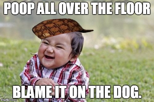 Evil Toddler Meme | POOP ALL OVER THE FLOOR BLAME IT ON THE DOG. | image tagged in memes,evil toddler,scumbag | made w/ Imgflip meme maker