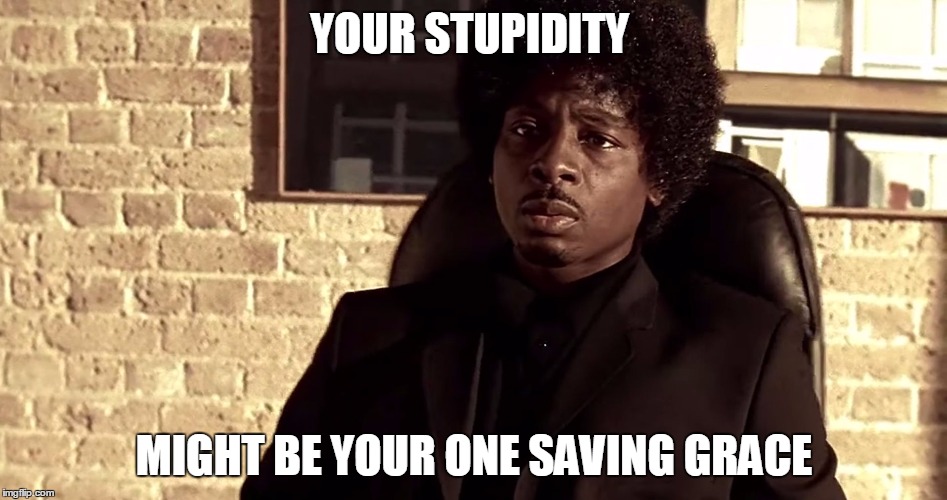 YOUR STUPIDITY MIGHT BE YOUR ONE SAVING GRACE | image tagged in stupidity | made w/ Imgflip meme maker