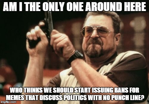This is a meme site, not a political forum | AM I THE ONLY ONE AROUND HERE WHO THINKS WE SHOULD START ISSUING BANS FOR MEMES THAT DISCUSS POLITICS WITH NO PUNCH LINE? | image tagged in memes,am i the only one around here | made w/ Imgflip meme maker