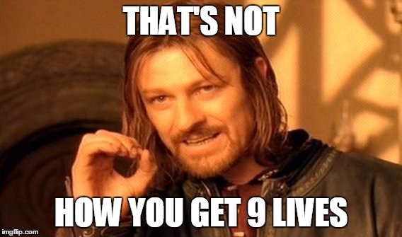 One Does Not Simply Meme | THAT'S NOT HOW YOU GET 9 LIVES | image tagged in memes,one does not simply | made w/ Imgflip meme maker