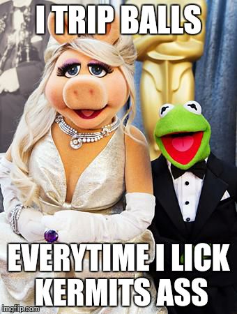 miss piggy & kermit | I TRIP BALLS EVERYTIME I LICK KERMITS ASS | image tagged in miss piggy  kermit | made w/ Imgflip meme maker