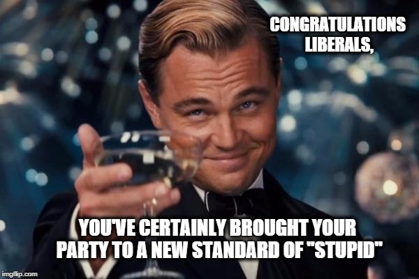 Leonardo Dicaprio Cheers | CONGRATULATIONS LIBERALS, YOU'VE CERTAINLY BROUGHT YOUR PARTY TO A NEW STANDARD OF "STUPID" | image tagged in memes,leonardo dicaprio cheers | made w/ Imgflip meme maker