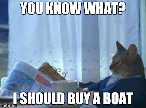 I Should Buy A Boat Cat | YOU KNOW WHAT? I SHOULD BUY A BOAT | image tagged in memes,i should buy a boat cat | made w/ Imgflip meme maker