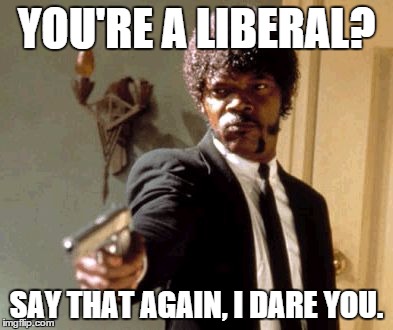 Say That Again I Dare You | YOU'RE A LIBERAL? SAY THAT AGAIN, I DARE YOU. | image tagged in memes,say that again i dare you | made w/ Imgflip meme maker