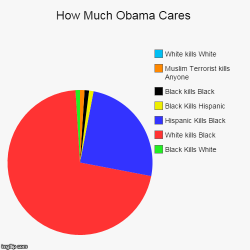 How Much Obama Cares | image tagged in funny,pie charts,obama,racist | made w/ Imgflip chart maker