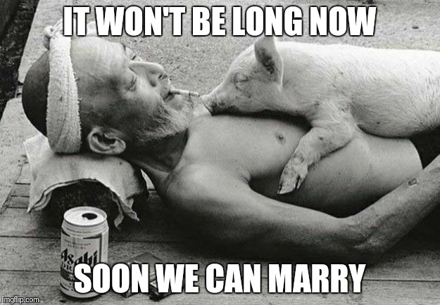 Wedding bells await | IT WON'T BE LONG NOW SOON WE CAN MARRY | image tagged in memes,marriage | made w/ Imgflip meme maker