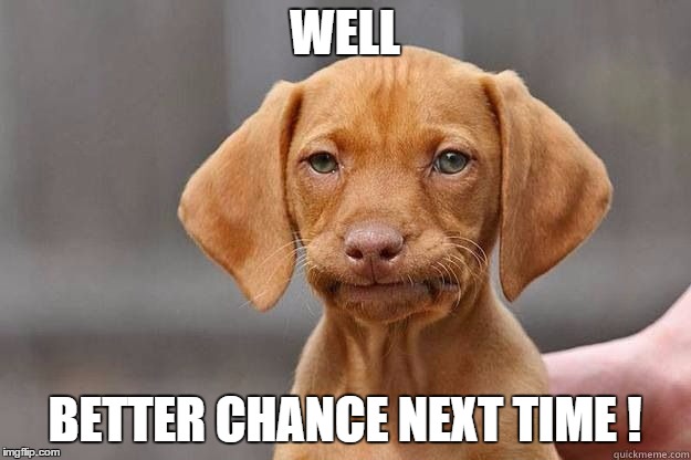 Disapointed Dog | WELL BETTER CHANCE NEXT TIME ! | image tagged in disapointed dog | made w/ Imgflip meme maker