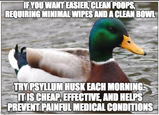 Actual Advice Mallard | IF YOU WANT EASIER, CLEAN POOPS, REQUIRING MINIMAL WIPES AND A CLEAN BOWL TRY PSYLLUM HUSK EACH MORNING. IT IS CHEAP, EFFECTIVE, AND HELPS P | image tagged in memes,actual advice mallard,AdviceAnimals | made w/ Imgflip meme maker