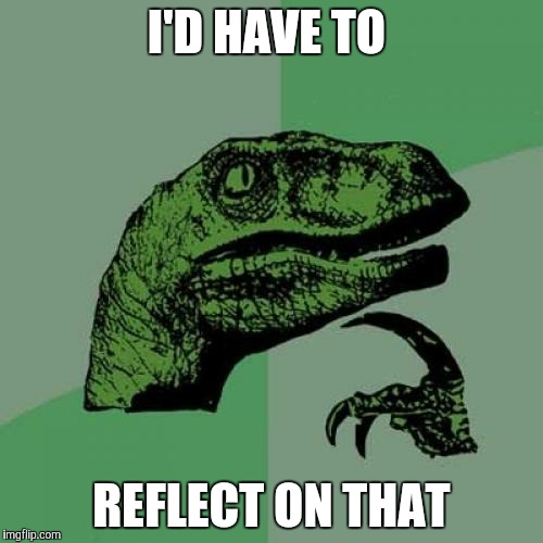 Philosoraptor Meme | I'D HAVE TO REFLECT ON THAT | image tagged in memes,philosoraptor | made w/ Imgflip meme maker