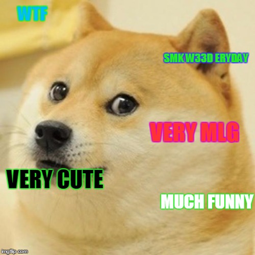 Doge Meme | WTF MUCH FUNNY SMK W33D ERYDAY VERY CUTE VERY MLG | image tagged in memes,doge | made w/ Imgflip meme maker