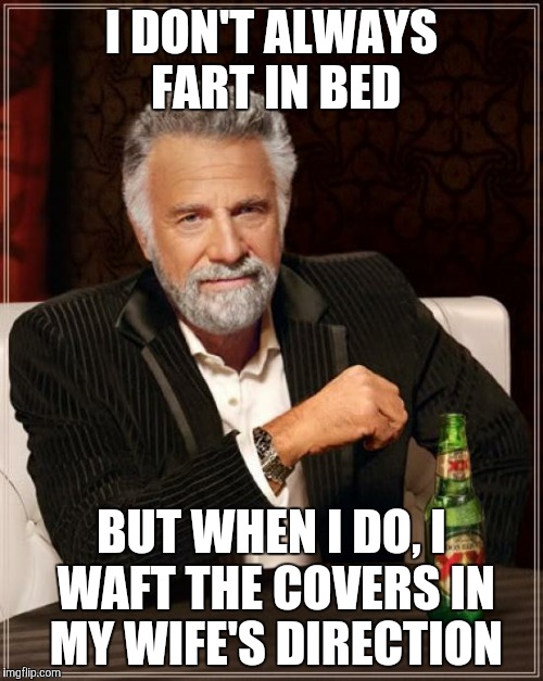 She fails to see the humor | I DON'T ALWAYS FART IN BED BUT WHEN I DO, I WAFT THE COVERS IN MY WIFE'S DIRECTION | image tagged in memes,the most interesting man in the world | made w/ Imgflip meme maker