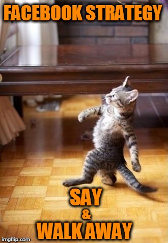 Cool Cat Stroll | FACEBOOK STRATEGY WALK AWAY SAY & | image tagged in memes,cool cat stroll | made w/ Imgflip meme maker