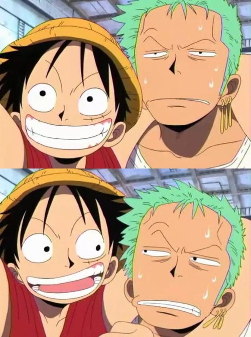 High Quality luffy and zoro Blank Meme Template