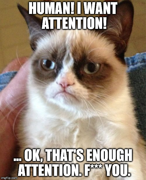 Basically every cat in the world from my observations. | HUMAN! I WANT ATTENTION! ... OK, THAT'S ENOUGH ATTENTION. F*** YOU. | image tagged in memes,grumpy cat,cats,shawnljohnson | made w/ Imgflip meme maker
