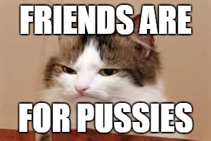 Disappointed Cat | FRIENDS ARE FOR PUSSIES | image tagged in disappointed cat | made w/ Imgflip meme maker