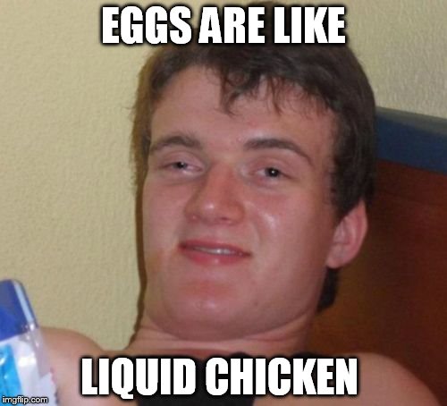 10 Guy Meme | EGGS ARE LIKE LIQUID CHICKEN | image tagged in memes,10 guy | made w/ Imgflip meme maker