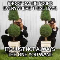 CAMERA READY? | PROOF CAN BE FOUND EVERYWHERE THESE DAYS. IT'S JUST NOT ALWAYS THE ONE YOU WANT. | image tagged in lawsuits hiding in the bushes,lawsuit,truth,justice | made w/ Imgflip meme maker