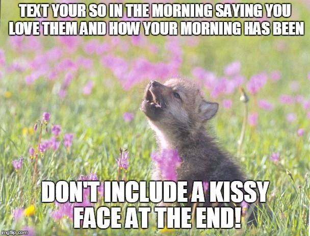 Baby Insanity Wolf Meme | TEXT YOUR SO IN THE MORNING SAYING YOU LOVE THEM AND HOW YOUR MORNING HAS BEEN DON'T INCLUDE A KISSY FACE AT THE END! | image tagged in memes,baby insanity wolf,AdviceAnimals | made w/ Imgflip meme maker