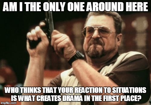 Am I The Only One Around Here | AM I THE ONLY ONE AROUND HERE WHO THINKS THAT YOUR REACTION TO SITUATIONS IS WHAT CREATES DRAMA IN THE FIRST PLACE? | image tagged in memes,am i the only one around here | made w/ Imgflip meme maker