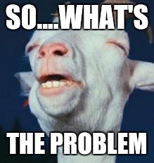 goat | SO....WHAT'S THE PROBLEM | image tagged in goat | made w/ Imgflip meme maker