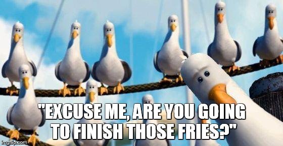 Nemo Birds | "EXCUSE ME, ARE YOU GOING TO FINISH THOSE FRIES?" | image tagged in nemo birds | made w/ Imgflip meme maker