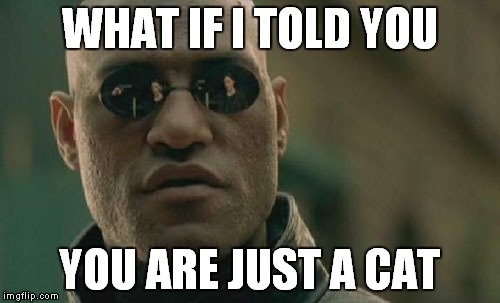 Matrix Morpheus Meme | WHAT IF I TOLD YOU YOU ARE JUST A CAT | image tagged in memes,matrix morpheus | made w/ Imgflip meme maker