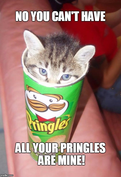 Catatude | NO YOU CAN'T HAVE ALL YOUR PRINGLES ARE MINE! | image tagged in cats,box,chips | made w/ Imgflip meme maker