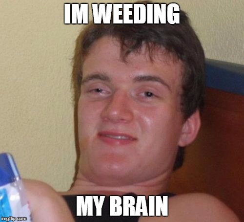 Of 8 IQ points a long-term study has concluded | IM WEEDING MY BRAIN | image tagged in memes,smoking weed,can lower your iq,this is your brain,on weed,marijuana is not harmless | made w/ Imgflip meme maker
