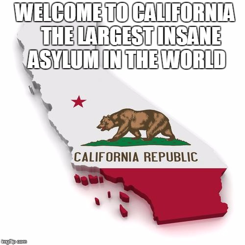 California | WELCOME TO CALIFORNIA   THE LARGEST INSANE ASYLUM IN THE WORLD | image tagged in california | made w/ Imgflip meme maker