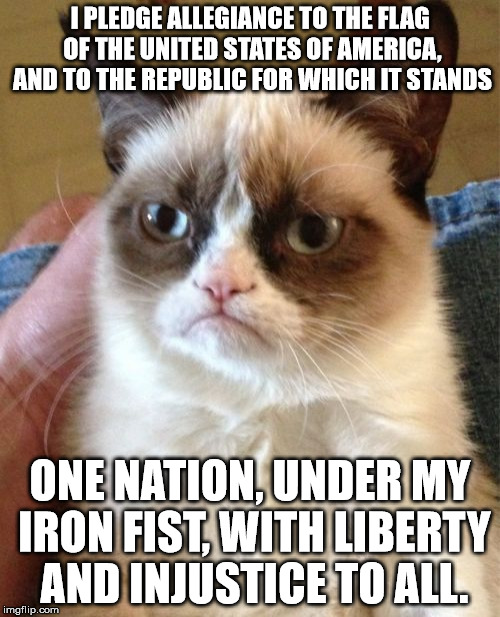 If Grumpy Cat were in charge of the USA... at least we get liberty. | I PLEDGE ALLEGIANCE TO THE FLAG OF THE UNITED STATES OF AMERICA, AND TO THE REPUBLIC FOR WHICH IT STANDS ONE NATION, UNDER MY IRON FIST, WIT | image tagged in memes,grumpy cat,united states,republic,shawnljohnson,american flag | made w/ Imgflip meme maker