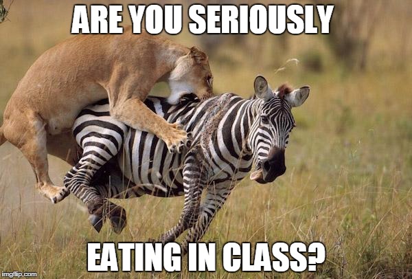 zebrah | ARE YOU SERIOUSLY EATING IN CLASS? | image tagged in zebrah | made w/ Imgflip meme maker