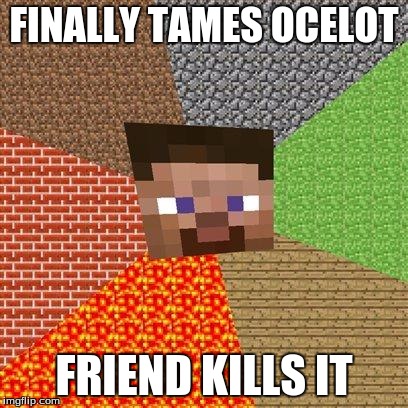 Minecraft Steve | FINALLY TAMES OCELOT FRIEND KILLS IT | image tagged in minecraft steve | made w/ Imgflip meme maker