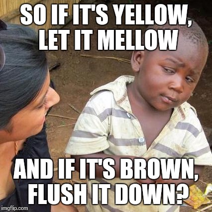 Third World Skeptical Kid Meme | SO IF IT'S YELLOW, LET IT MELLOW AND IF IT'S BROWN, FLUSH IT DOWN? | image tagged in memes,third world skeptical kid | made w/ Imgflip meme maker