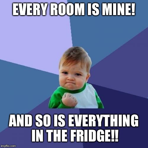 Success Kid Meme | EVERY ROOM IS MINE! AND SO IS EVERYTHING IN THE FRIDGE!! | image tagged in memes,success kid | made w/ Imgflip meme maker