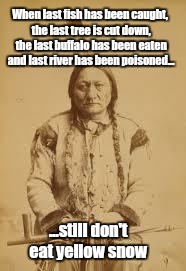 sad indian | When last fish has been caught, the last tree is cut down, the last buffalo has been eaten and last river has been poisoned... ...still don' | image tagged in sad indian | made w/ Imgflip meme maker