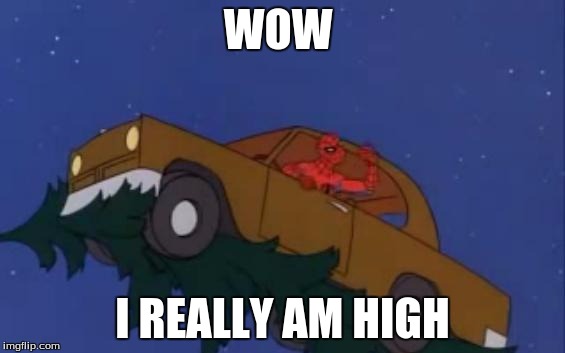 spiderman car | WOW I REALLY AM HIGH | image tagged in spiderman car | made w/ Imgflip meme maker