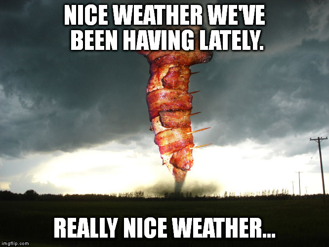 Baconado | NICE WEATHER WE'VE BEEN HAVING LATELY. REALLY NICE WEATHER... | image tagged in memes,baconado | made w/ Imgflip meme maker