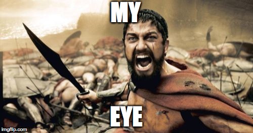 Sparta Leonidas Meme | MY EYE | image tagged in memes,sparta leonidas | made w/ Imgflip meme maker