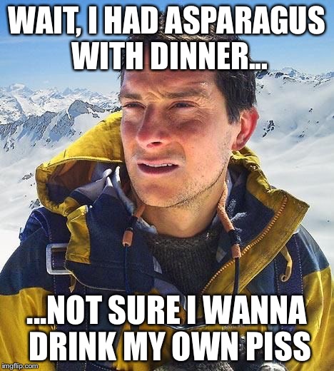 Bear Grills | WAIT, I HAD ASPARAGUS WITH DINNER... ...NOT SURE I WANNA DRINK MY OWN PISS | image tagged in bear grills | made w/ Imgflip meme maker