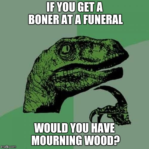 Philosoraptor | IF YOU GET A BONER AT A FUNERAL WOULD YOU HAVE MOURNING WOOD? | image tagged in memes,philosoraptor | made w/ Imgflip meme maker