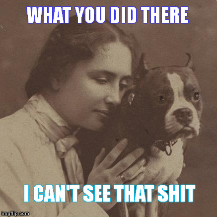 See?  What you did there? | WHAT YOU DID THERE I CAN'T SEE THAT SHIT | image tagged in helen keller,can't see,funny memes,memes,facebook,shaitans muse | made w/ Imgflip meme maker