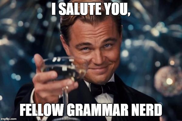 Leonardo Dicaprio Cheers Meme | I SALUTE YOU, FELLOW GRAMMAR NERD | image tagged in memes,leonardo dicaprio cheers | made w/ Imgflip meme maker