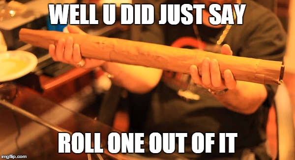 WELL U DID JUST SAY ROLL ONE OUT OF IT | image tagged in u did say just roll one out of it | made w/ Imgflip meme maker