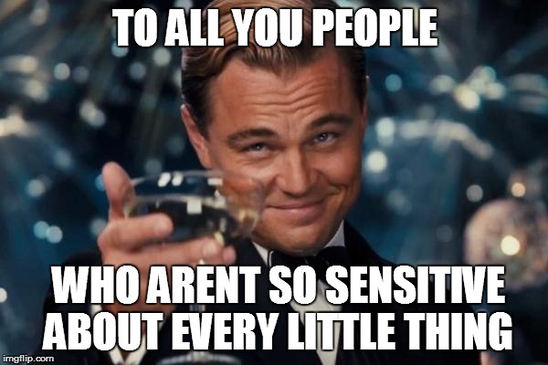 Leonardo Dicaprio Cheers Meme | TO ALL YOU PEOPLE WHO ARENT SO SENSITIVE ABOUT EVERY LITTLE THING | image tagged in memes,leonardo dicaprio cheers | made w/ Imgflip meme maker