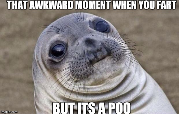 Awkward Moment Sealion | THAT AWKWARD MOMENT WHEN YOU FART BUT ITS A POO | image tagged in memes,awkward moment sealion | made w/ Imgflip meme maker