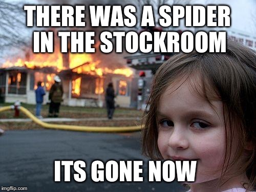Disaster Girl Meme | THERE WAS A SPIDER IN THE STOCKROOM ITS GONE NOW | image tagged in memes,disaster girl | made w/ Imgflip meme maker