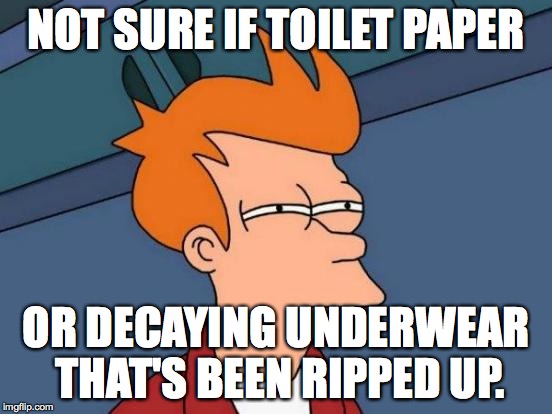 Futurama Fry Meme | NOT SURE IF TOILET PAPER OR DECAYING UNDERWEAR THAT'S BEEN RIPPED UP. | image tagged in memes,futurama fry | made w/ Imgflip meme maker