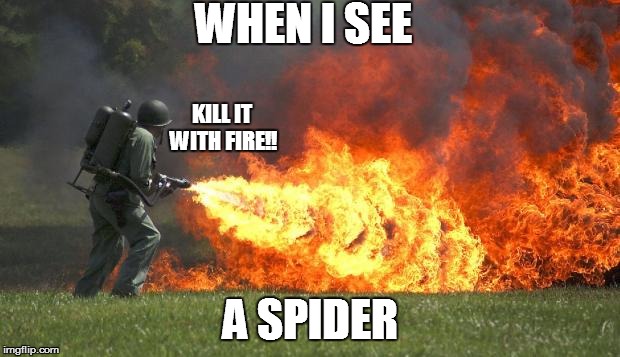 flamethrower | WHEN I SEE A SPIDER KILL IT WITH FIRE!! | image tagged in flamethrower | made w/ Imgflip meme maker